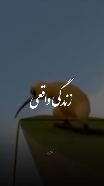 پست اینستاگرام DcIRi8XN6Gx