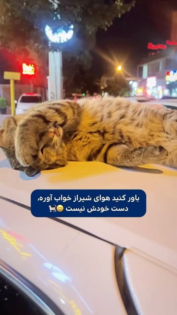 پست اینستاگرام DcI__AsI0sg