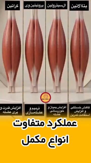 پست اینستاگرام DcIiZ_RMeNT