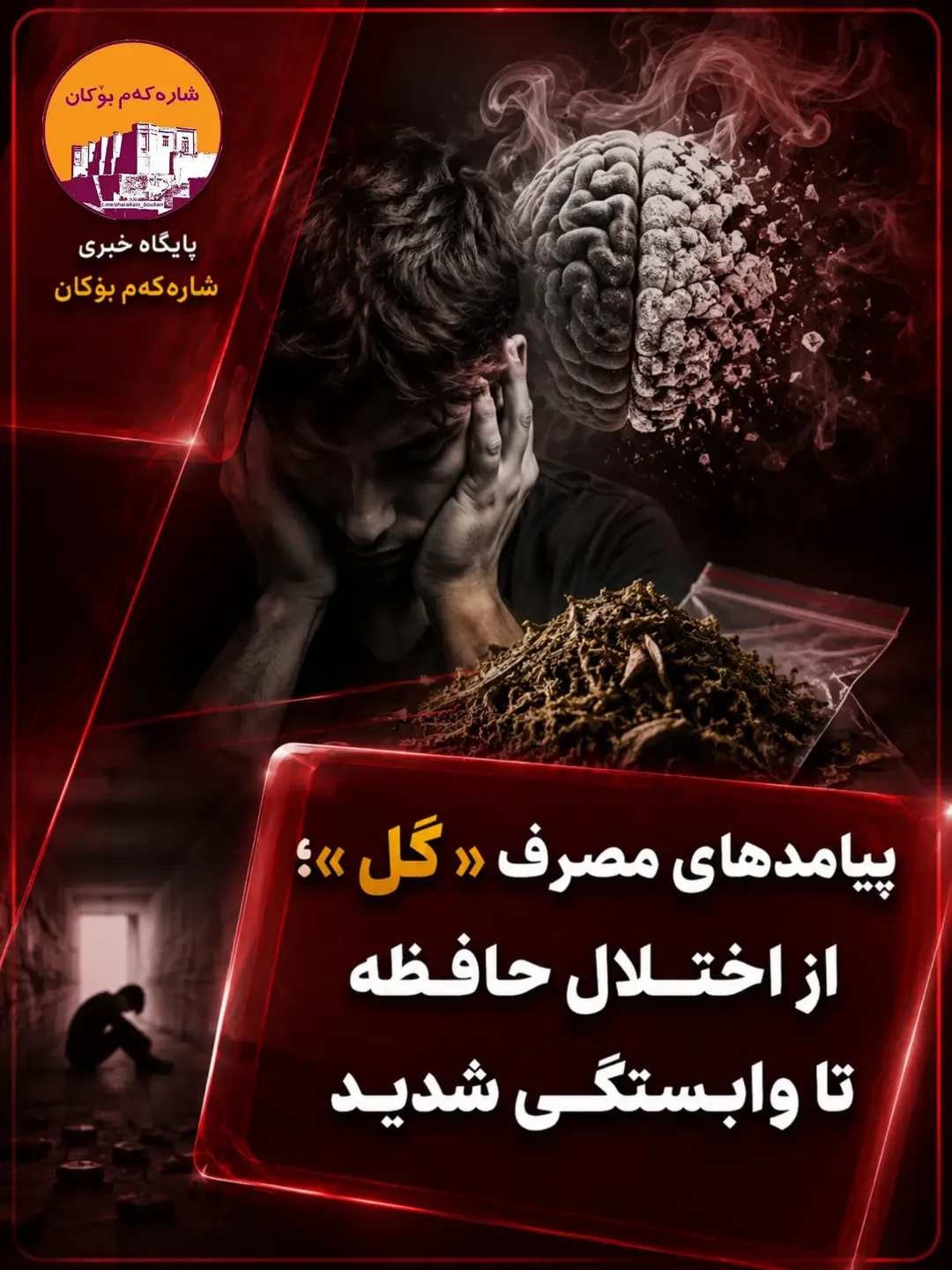 پست اینستاگرام DcJJvbaoFm6