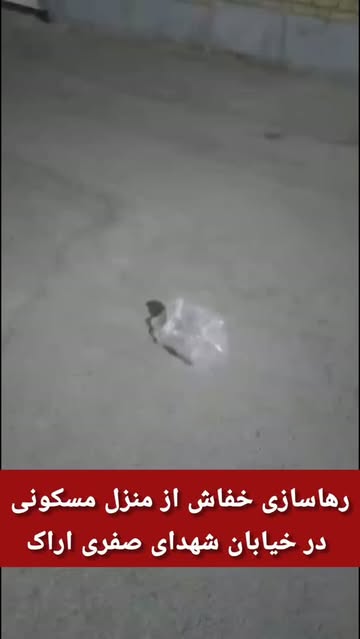 پست اینستاگرام DcJ_ODSo2st