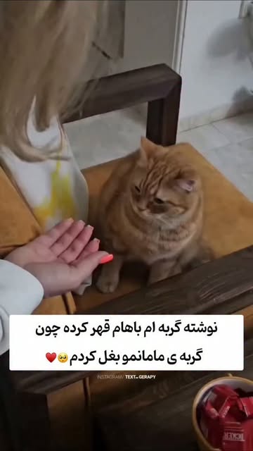پست اینستاگرام DcJj9wEy5LC