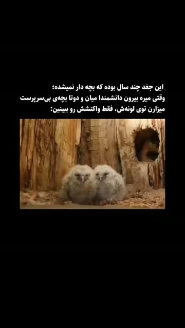 پست اینستاگرام DcJnK7nKhag