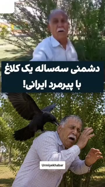 پست اینستاگرام DcJojv3gX7Q
