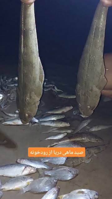 پست اینستاگرام DcJxYsRRIuJ