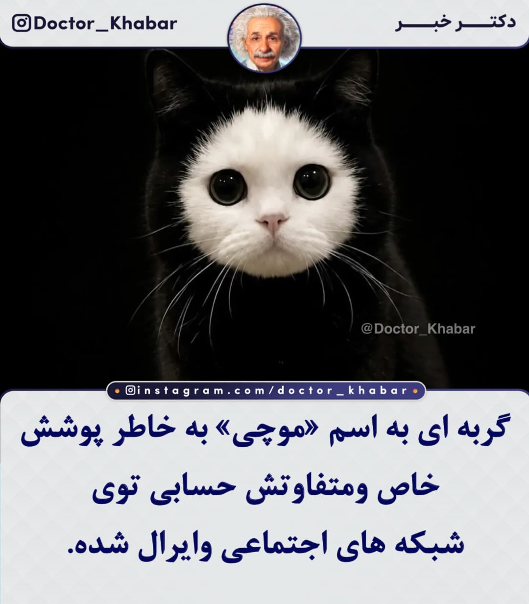 پست اینستاگرام DcL4KyZFzqY