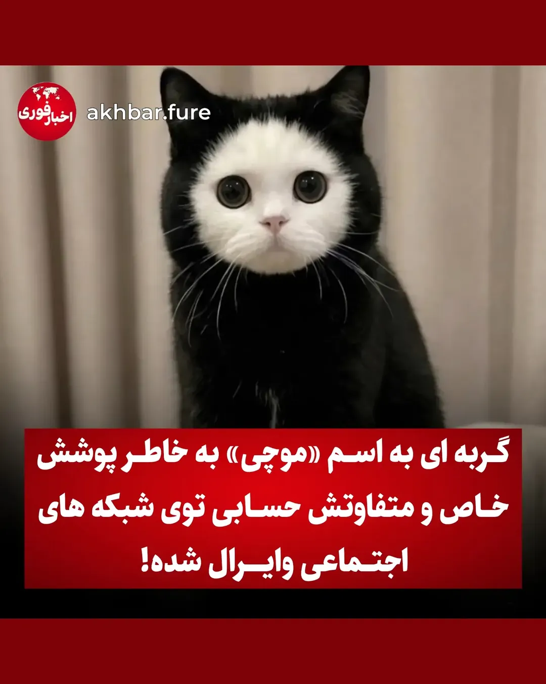 پست اینستاگرام DcLPyCBjcqS