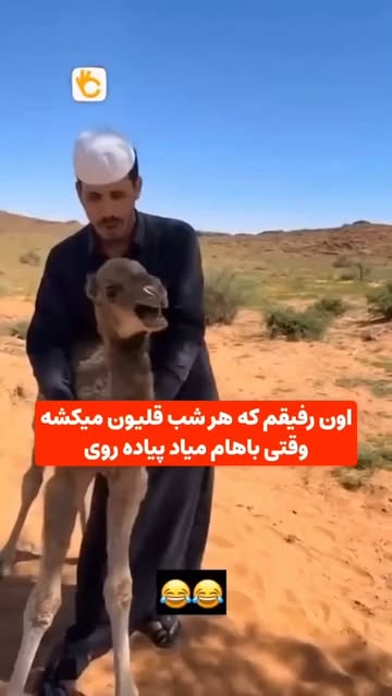 پست اینستاگرام DcLdK8FuX8Y