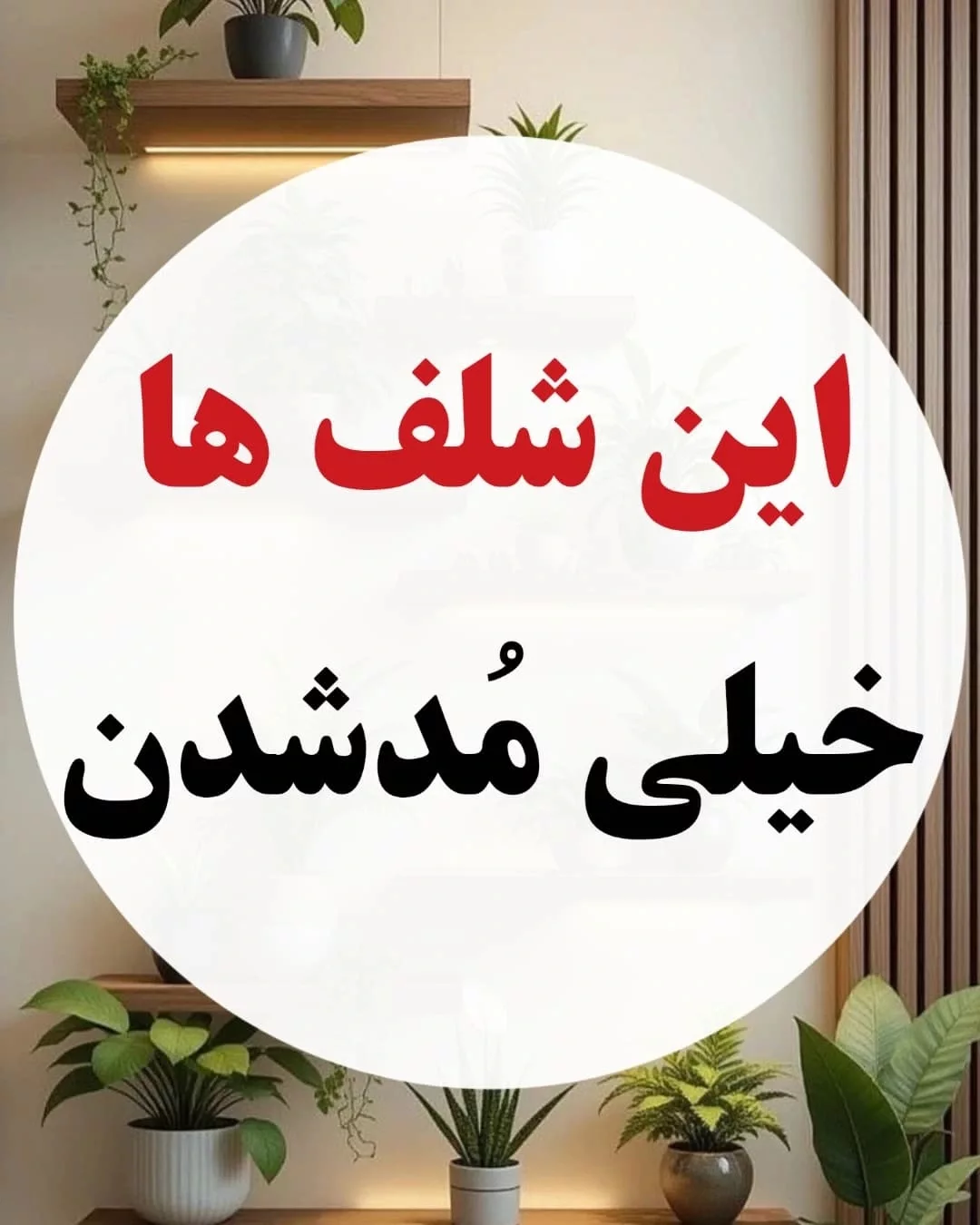 پست اینستاگرام DcLhvnwDGzr