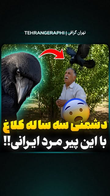 پست اینستاگرام DcLp3N-MoFD