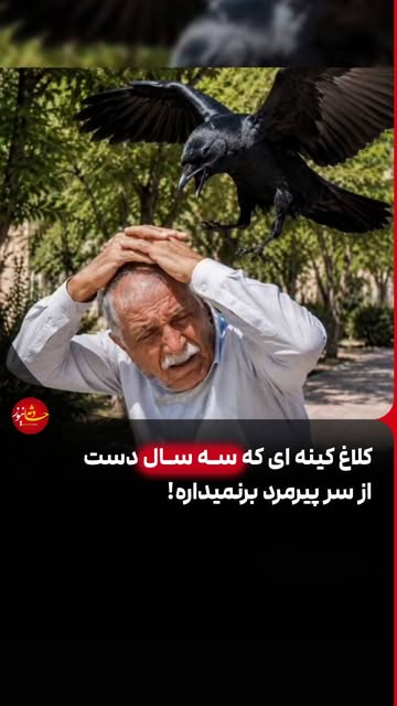پست اینستاگرام DcMK31tIisG