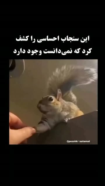 پست اینستاگرام DcMLjZ4MRT_