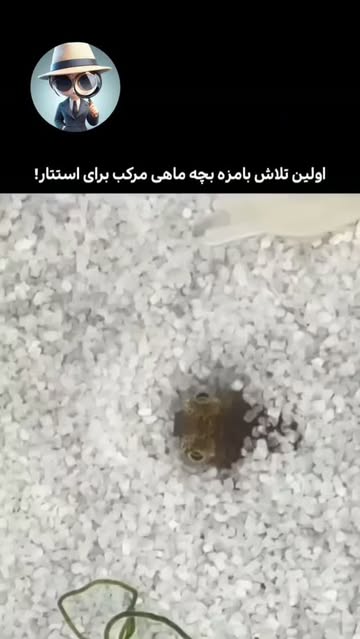 پست اینستاگرام DcMOgwozrxE