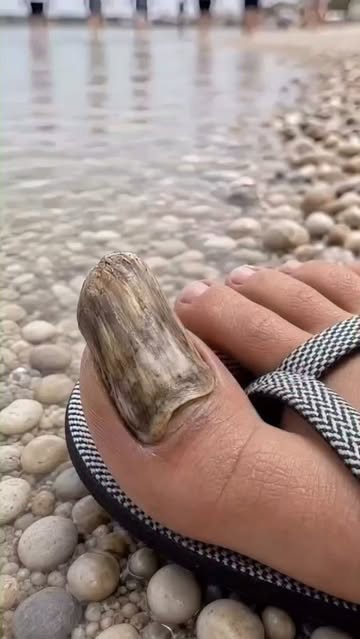 پست اینستاگرام DcMawu9Ny6s
