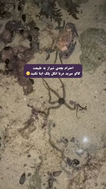 پست اینستاگرام DcMcdKYMqee