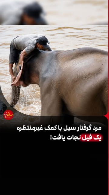 پست اینستاگرام DcMkdVYIony