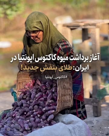 پست اینستاگرام DcN4xQ8gMoT