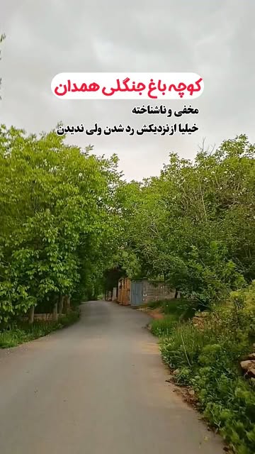 پست اینستاگرام DcN_udjojPl