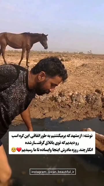 پست اینستاگرام DcNlCepsHO8