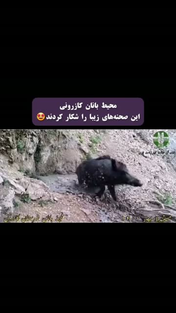 پست اینستاگرام DcNmrMpsN0S