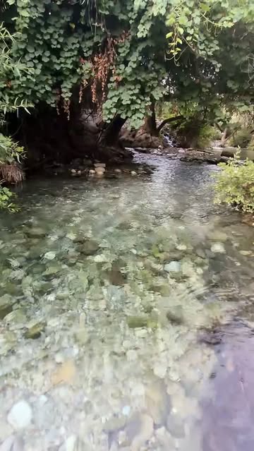 پست اینستاگرام DcNnUwVtuyb