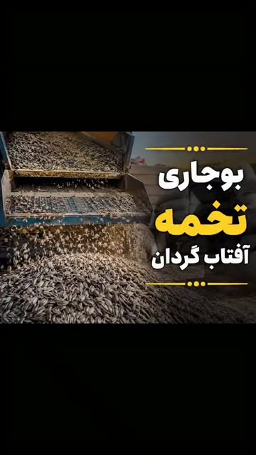 پست اینستاگرام DcOKC_YMAE1