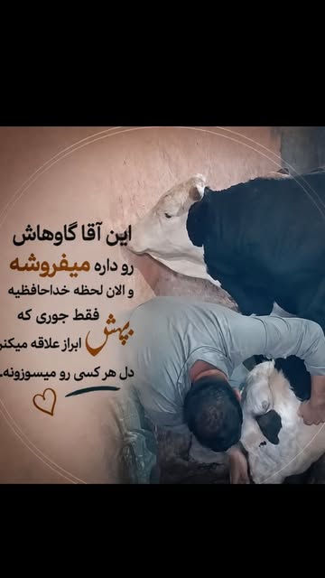 پست اینستاگرام DcOYlV6tfAO