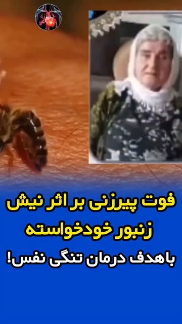 پست اینستاگرام DcOsYwhNCpe