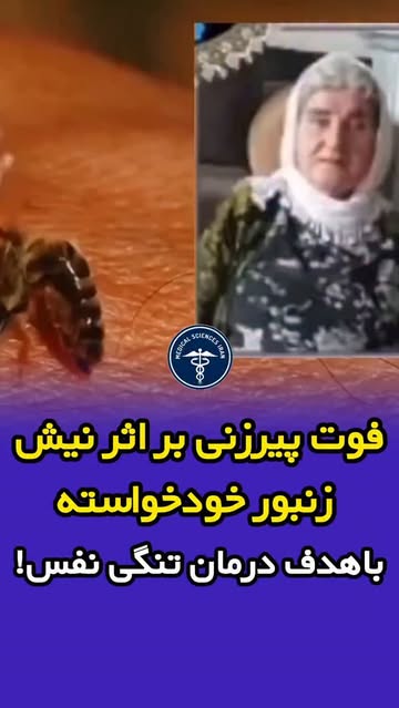 پست اینستاگرام DcOsrPQNDey