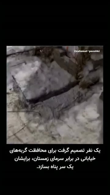پست اینستاگرام DcOw0LfM-6h