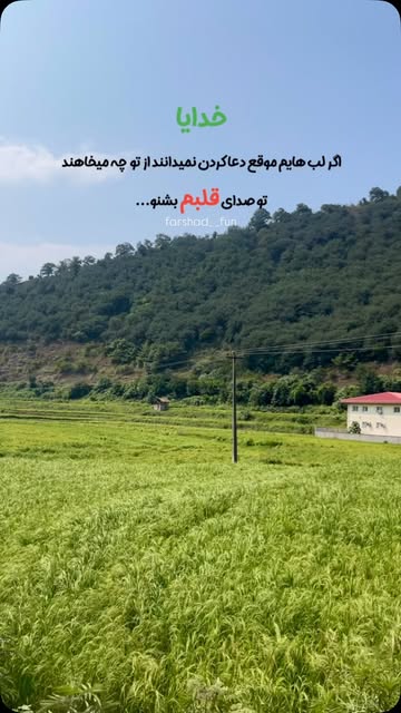 پست اینستاگرام DcQJnNJtjjX