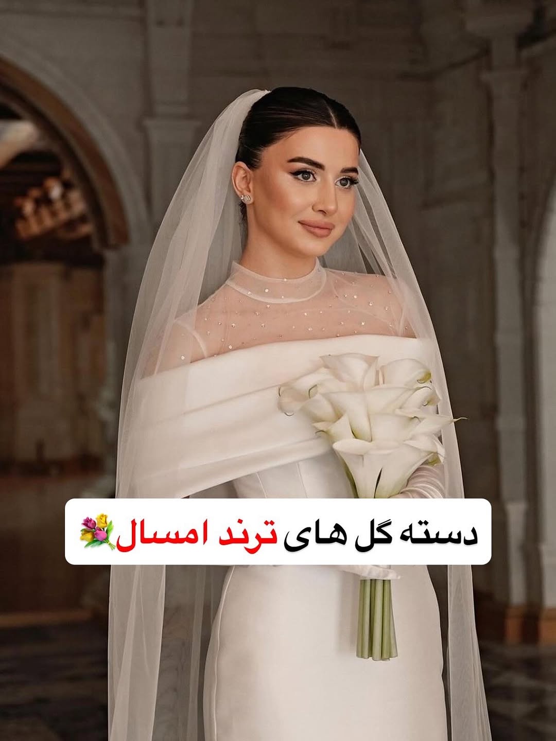 پست اینستاگرام DcQKvn2lbSP