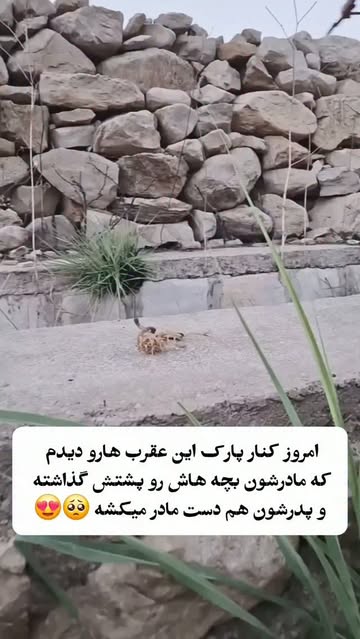 پست اینستاگرام DcQQ8VgIim7
