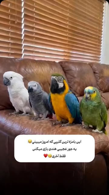 پست اینستاگرام DcQVsOlKFul