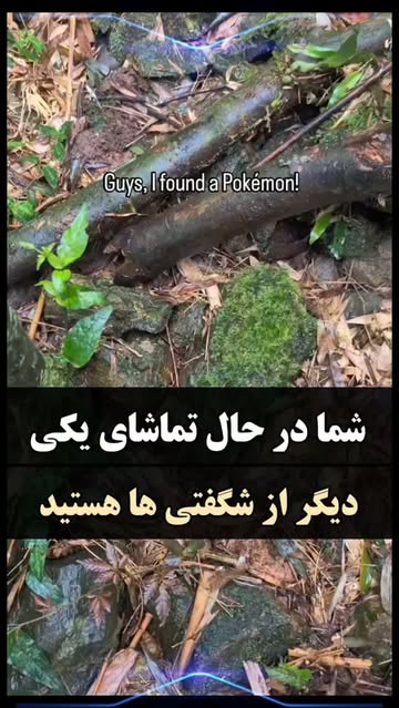 پست اینستاگرام DcQXU1WIEgE