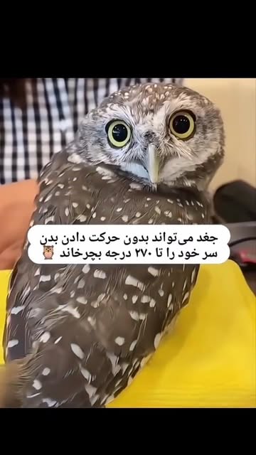 پست اینستاگرام DcQkM5Ds1hw