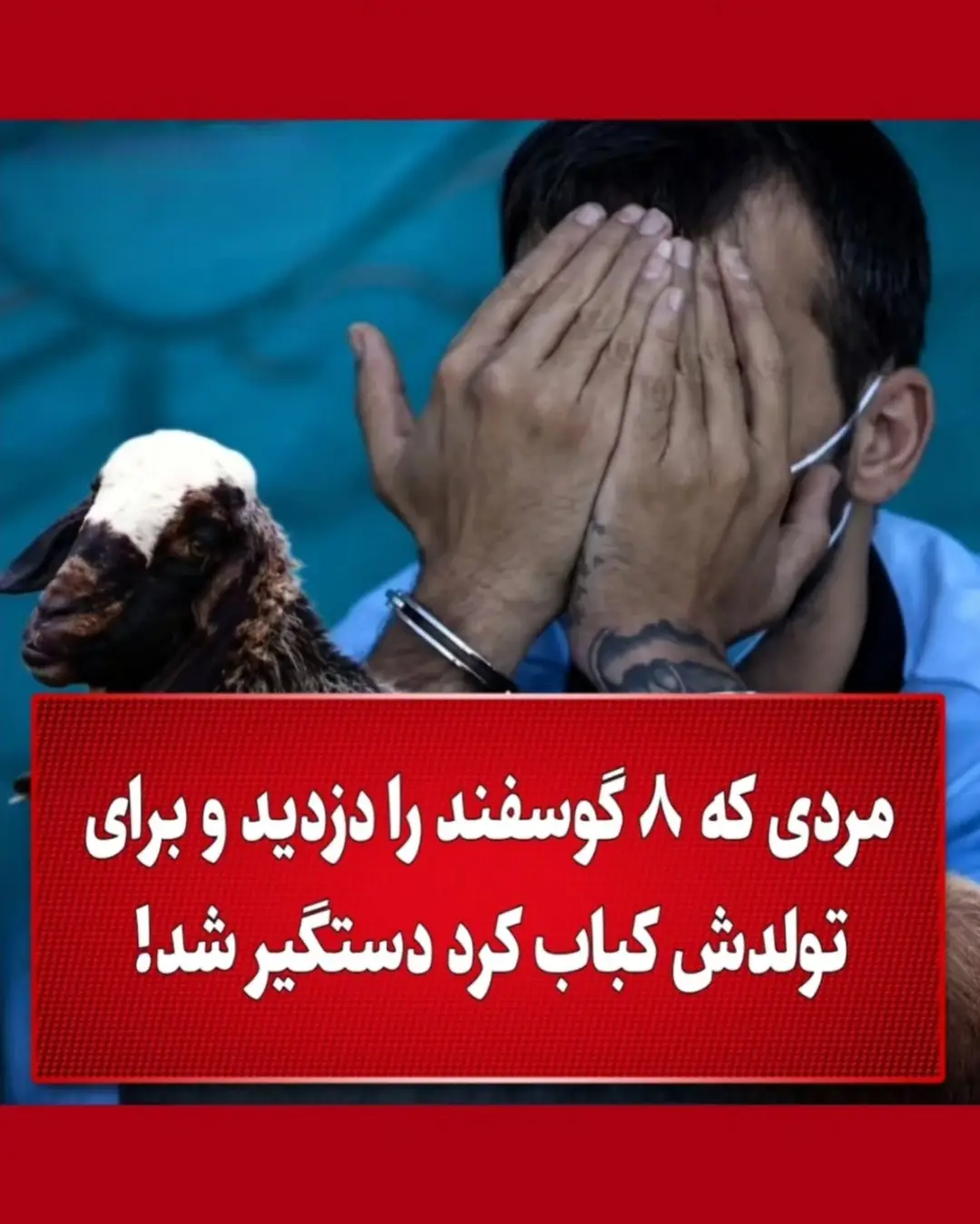 پست اینستاگرام DcQtWEviLgs