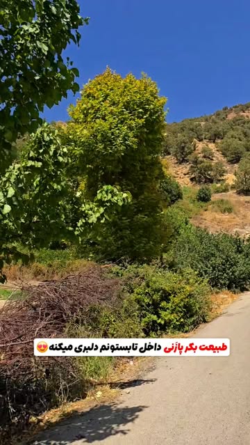 پست اینستاگرام DcRNc2tNMrN
