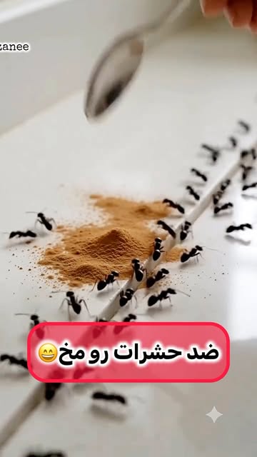 پست اینستاگرام DcS6jd8RZz2