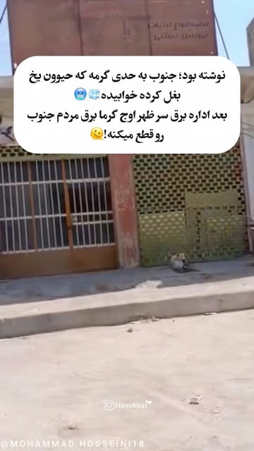 پست اینستاگرام DcSx_P5oKnR