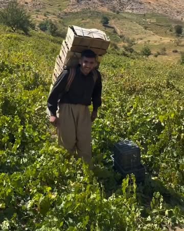 پست اینستاگرام DcSyiQ_iuTK