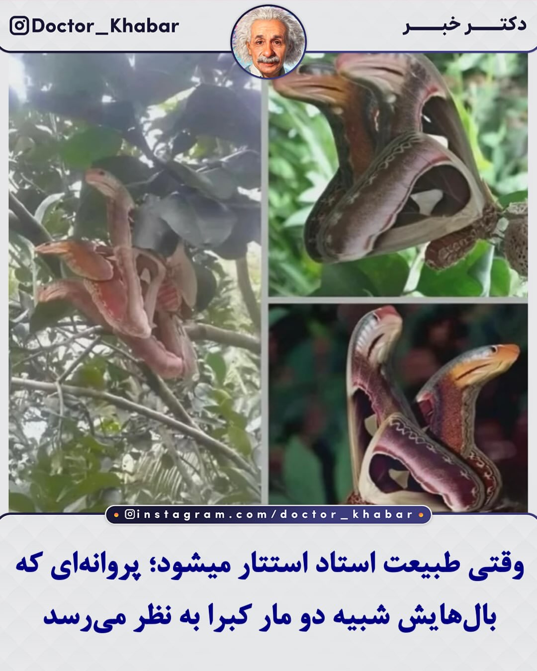 پست اینستاگرام DcTDRQwF_D_