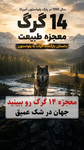 پست اینستاگرام DcTdUTHoTyJ