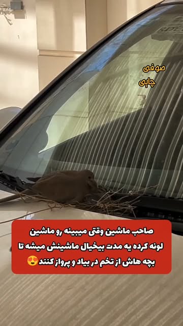 پست اینستاگرام DcUQ5s9OmmI