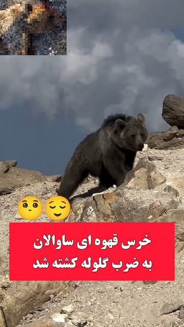 پست اینستاگرام DcV_MvxKbGy