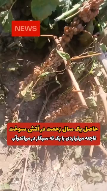 پست اینستاگرام DcVbKJrsy5o