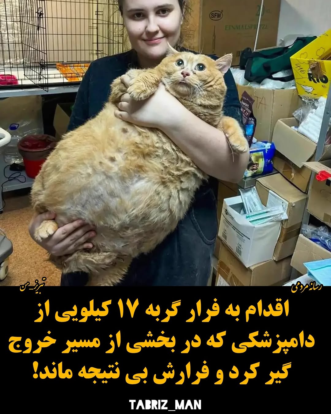 پست اینستاگرام DcVh79PjNL_