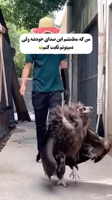 پست اینستاگرام DcVlNgvRcit