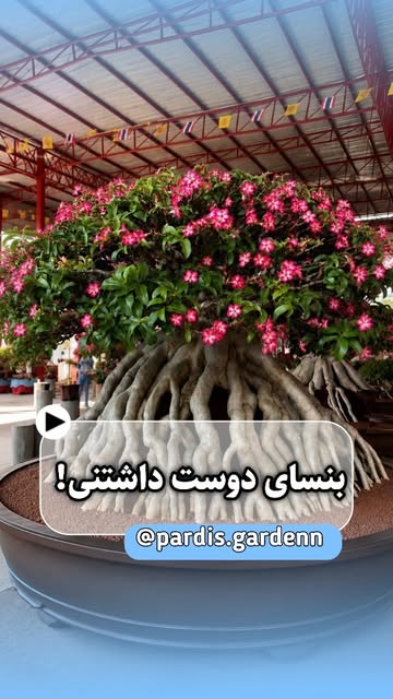 پست اینستاگرام DcVslaxMW3E