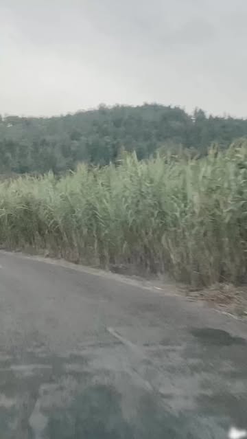 پست اینستاگرام DcVvf1ItD9w